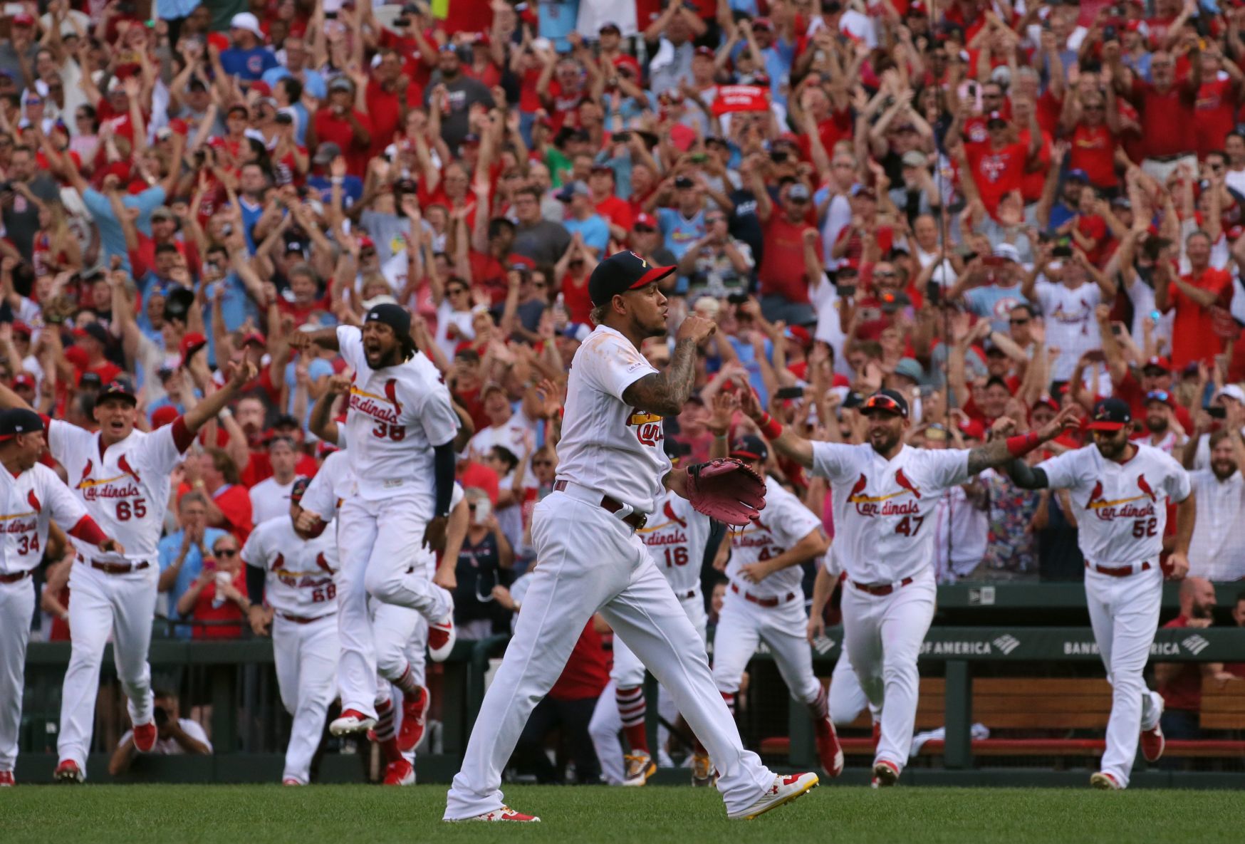 Chicago Cubs vs St. Louis Cardinals
